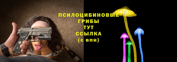 экстази Богданович