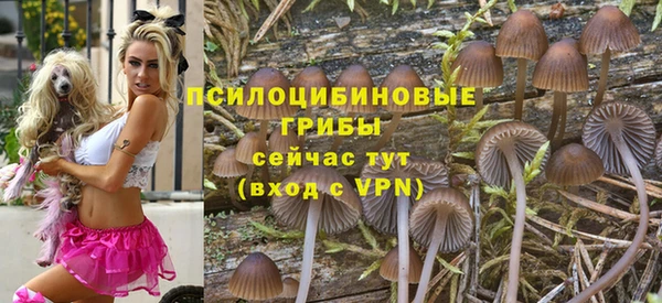 молекула духа Тихорецк