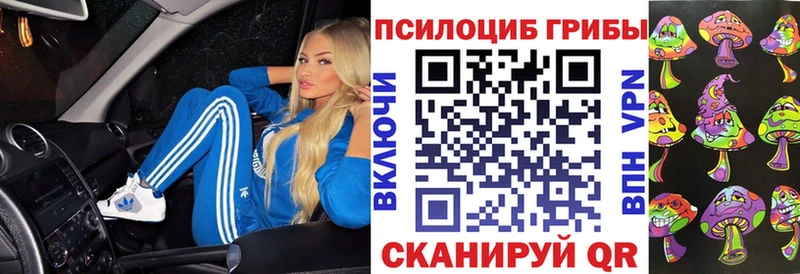 Псилоцибиновые грибы Psilocybe  Верхний Тагил 
